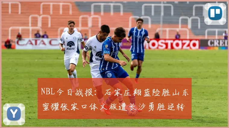 NBL今日战报：石家庄翔蓝险胜山东蜜獾张家口体文旅遭长沙勇胜逆转