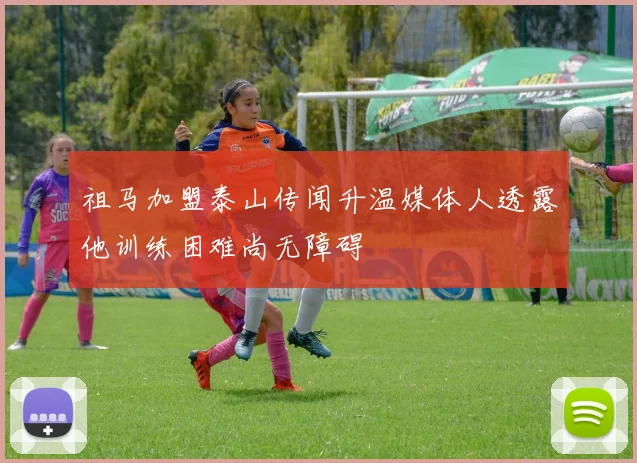 祖马加盟泰山传闻升温媒体人透露他训练困难尚无障碍